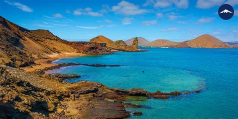 Galapagos Islands Bet365