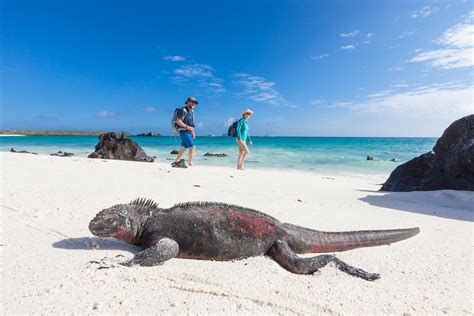 Galapagos Islands Review 2024