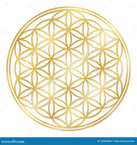 Golden Flower Of Life Brabet