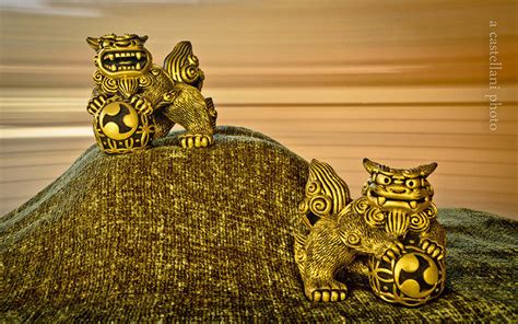 Golden Shisa Betsul