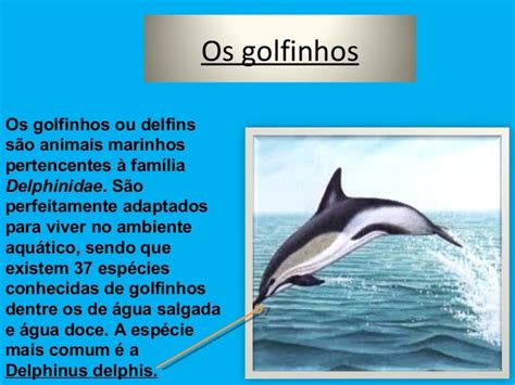 Golfinhos Perola Maquina De Fenda