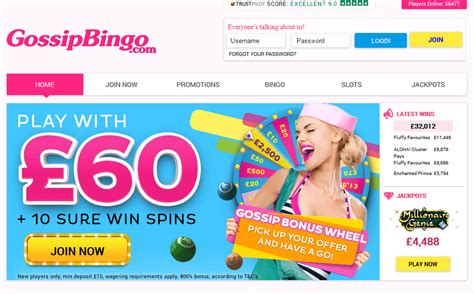 Gossip Bingo Casino App