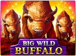 Jogar Big Wild Buffalo Com Dinheiro Real