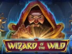Jogue Wizard Of Wild Online
