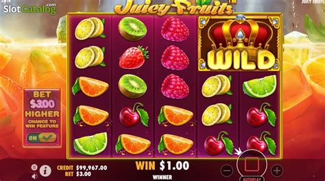 Juicy Fruits Review 2024