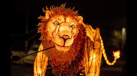 Lanterns Lions Netbet