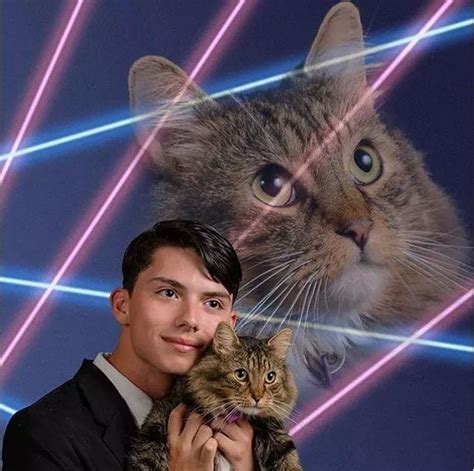 Laser Cats Bet365