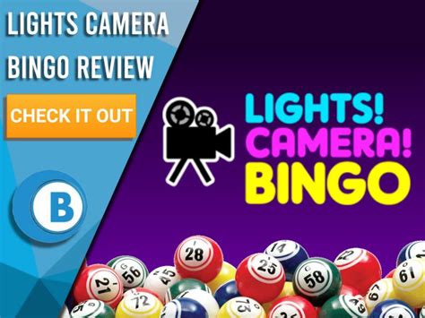 Lights Camera Bingo Casino Login