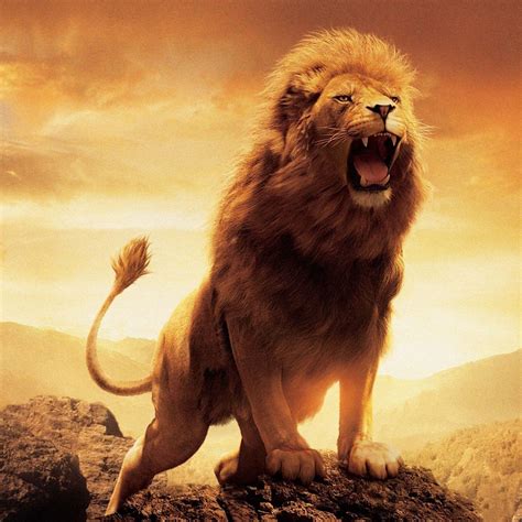 Lion S Roar 1xbet