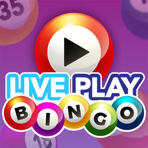 Live Bingo Casino Mobile