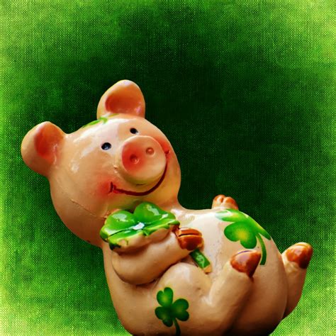 Lucky Pigs Betfair