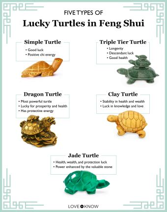 Lucky Turtle Betsul