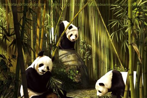 Maquina De Fenda De Bambu Panda