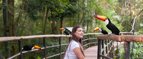 Monte Casino Parque Das Aves Horario De Abertura