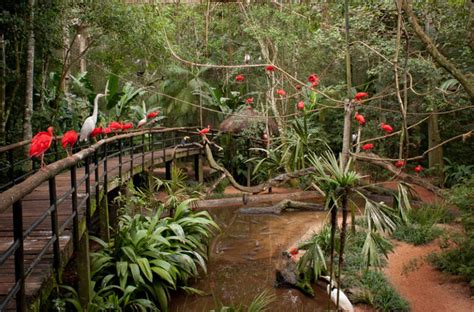 Monte Casino Parque Das Aves Imagens