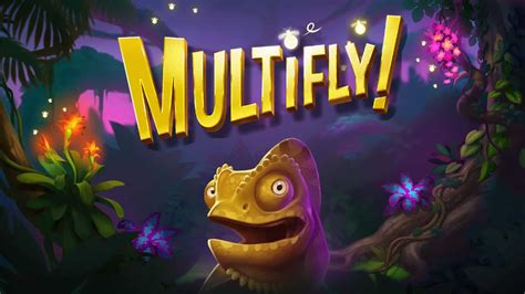 Multifly Bwin