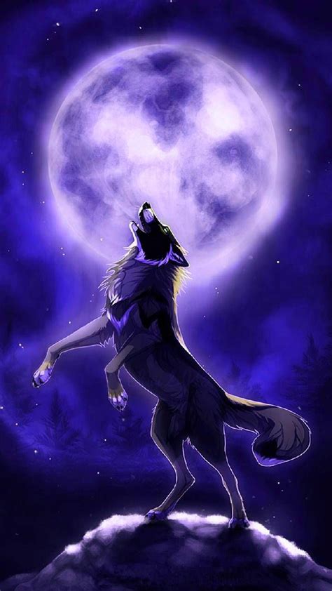 Mystic Wolf Novibet