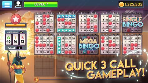 New Look Bingo Casino Apk