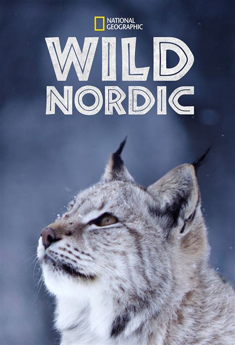 Nordic Wild Betano