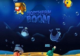 Northern Boom Novibet