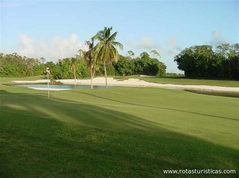 O Royal Oasis Golf Resort Casino Bahamas