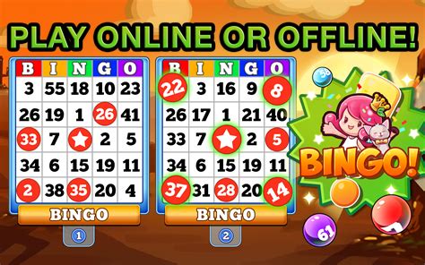 Online Bingo Casino App