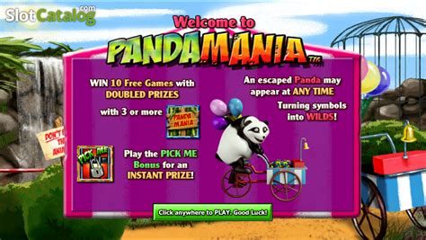 Pandamania Review 2024