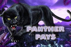 Panther Pays Betsul