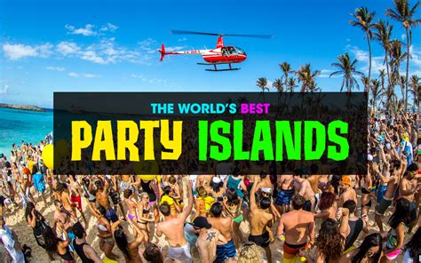 Party Island Review 2024