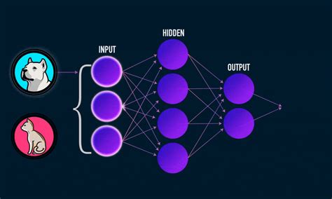 Poker Ai De Rede Neural