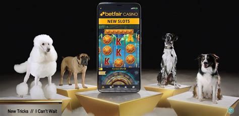 Puppy Party Betfair