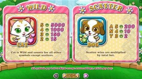 Purrfect Pets Review 2024