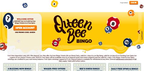 Queen Bee Bingo Casino Review