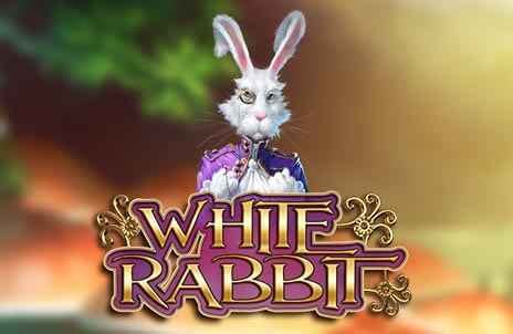 Rabbit Game Casino Login