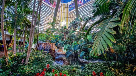 Rainforest Dome Casino