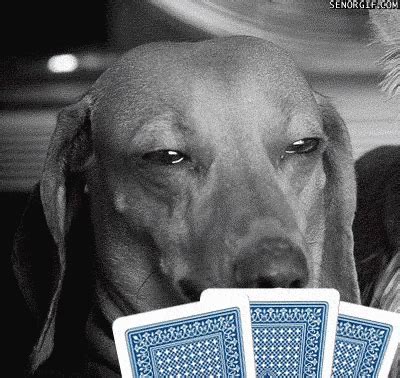 Reddit Cao Poker Face