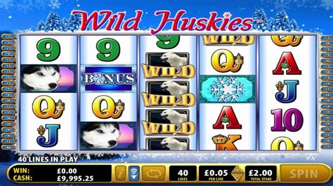 Selvagem Husky Slots Livres