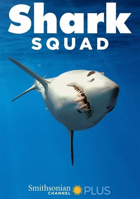 Shark Squad Novibet