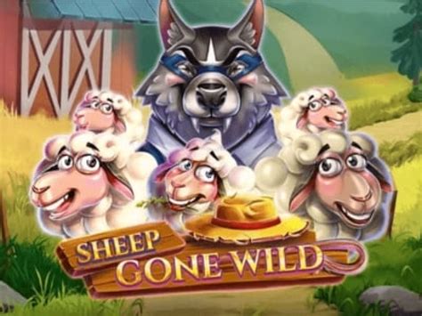 Sheep Gone Wild Brabet