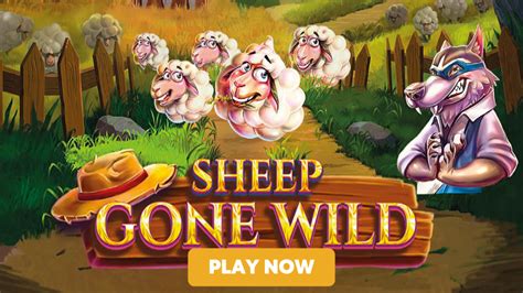 Sheep Gone Wild Bwin