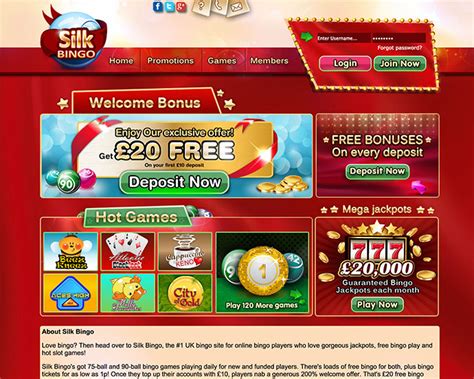 Silk Bingo Casino Belize