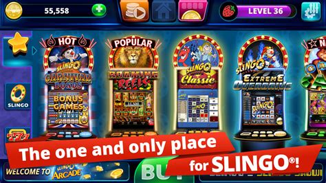 Slingo Slots Casino Aplicacao