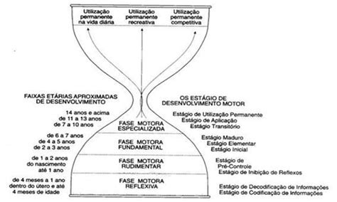 Slot E Quadro De Padroes E O Desenvolvimento Do Determinador De Categoria