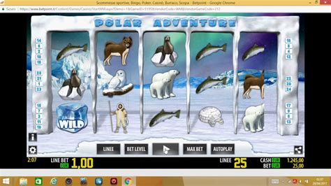 Slot Polar Adventure