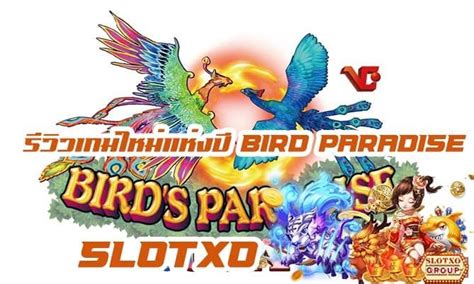 Slots De Aves