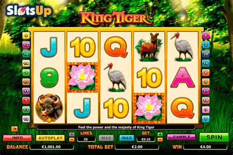 Slots De Tiger Casino King