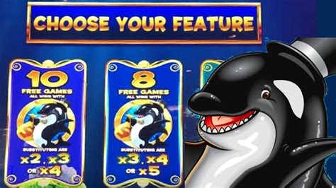 Slotwhales Casino App