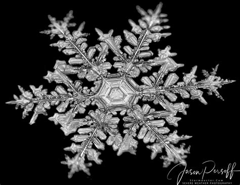 Snowflakes Brabet