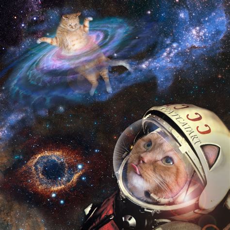 Space Cat Betsul
