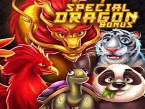 Special Dragon Bonus Review 2024